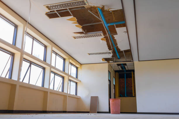 Best Water damage restoration process  in Aliquip, PA
