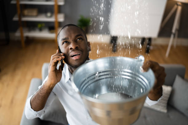 Best Flood damage cleanup  in Aliquip, PA