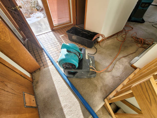 Best Water damage restoration near me  in Aliquip, PA