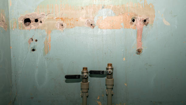 Best Residential water damage restoration  in Aliquip, PA