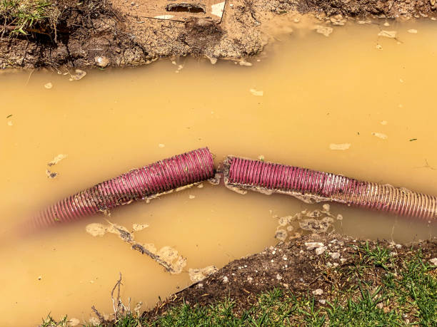 Best Emergency water damage restoration  in Aliquip, PA