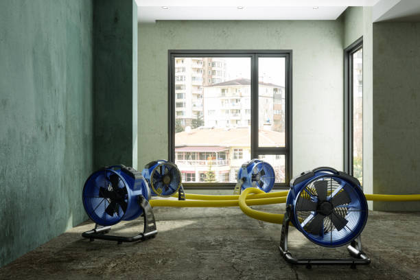 Best Basement water damage restoration  in Aliquip, PA